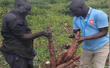 Executive chef portrait